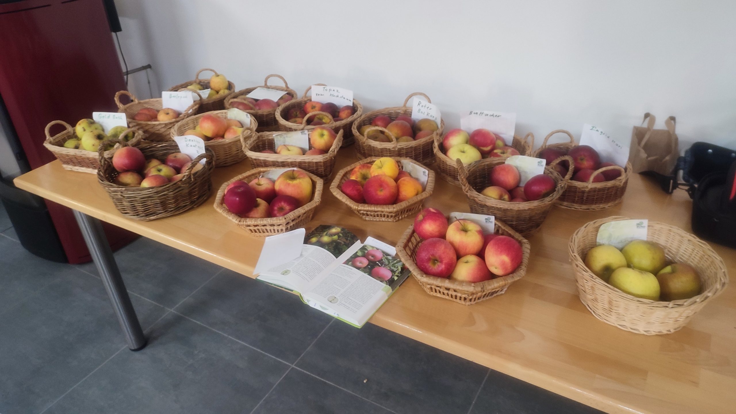 21. November 2025 – OGV-Stammtisch „Gesunde Äpfel – auch für Allergiker“